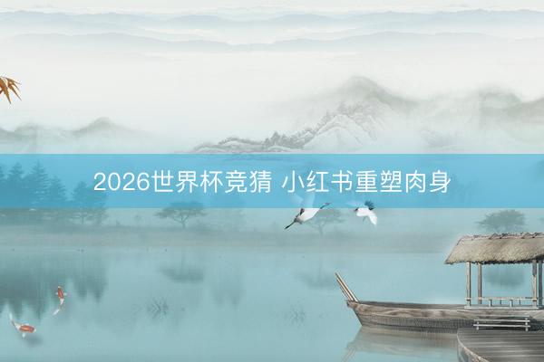 2026世界杯竞猜 小红书重塑肉身