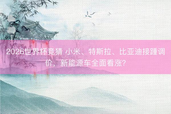 2026世界杯竞猜 小米、特斯拉、比亚迪接踵调价，新能源车全面看涨？