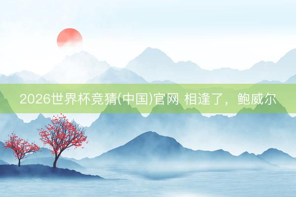 2026世界杯竞猜(中国)官网 相逢了，鲍威尔