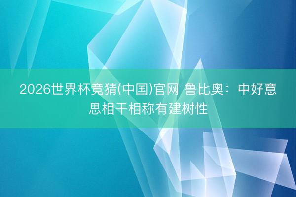 2026世界杯竞猜(中国)官网 鲁比奥：中好意思相干相称有建树性