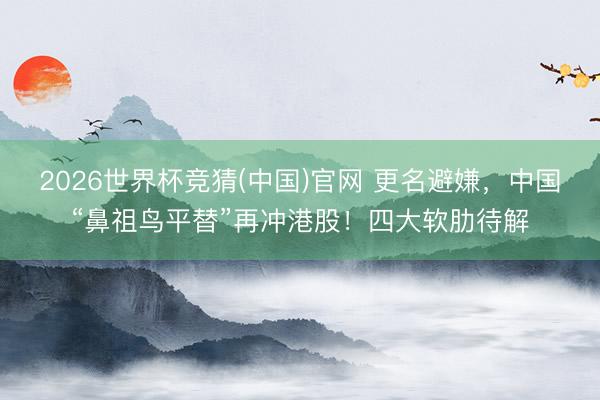 2026世界杯竞猜(中国)官网 更名避嫌，中国“鼻祖鸟平替”再冲港股！四大软肋待解