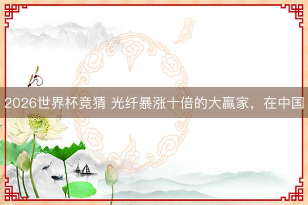 2026世界杯竞猜 光纤暴涨十倍的大赢家，在中国