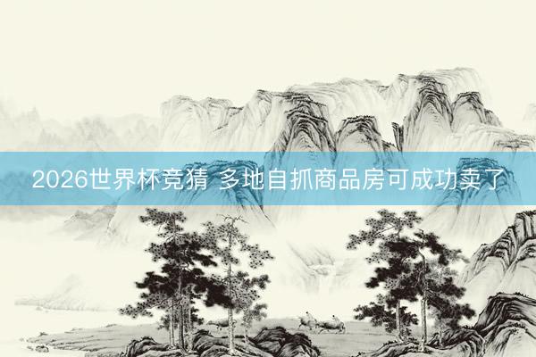 2026世界杯竞猜 多地自抓商品房可成功卖了
