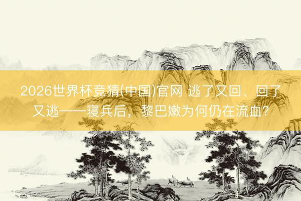 2026世界杯竞猜(中国)官网 逃了又回、回了又逃——寝兵后，黎巴嫩为何仍在流血？