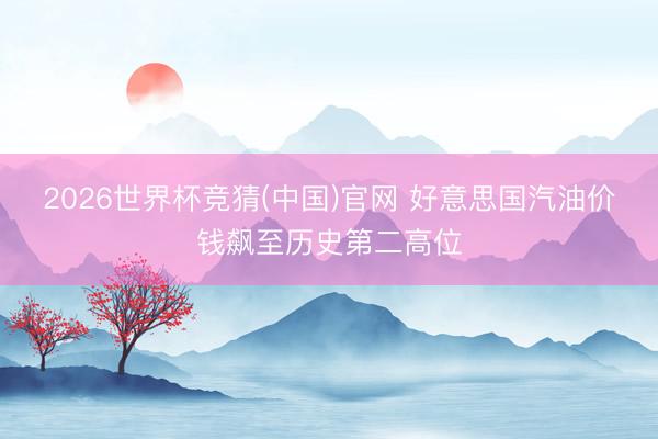 2026世界杯竞猜(中国)官网 好意思国汽油价钱飙至历史第二高位