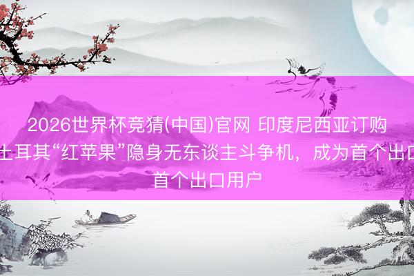 2026世界杯竞猜(中国)官网 印度尼西亚订购12架土耳其“红苹果”隐身无东谈主斗争机，成为首个出口用户