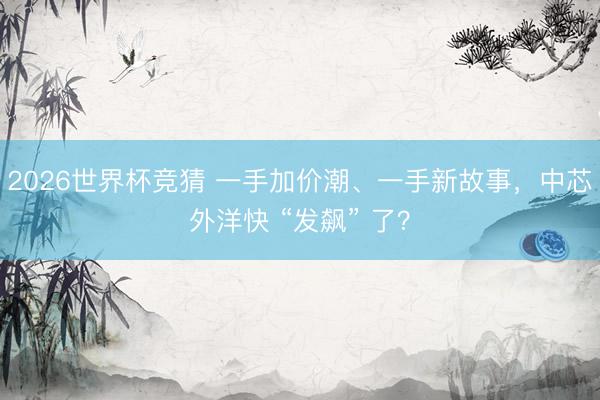 2026世界杯竞猜 一手加价潮、一手新故事,中芯外洋快 “发飙” 了?