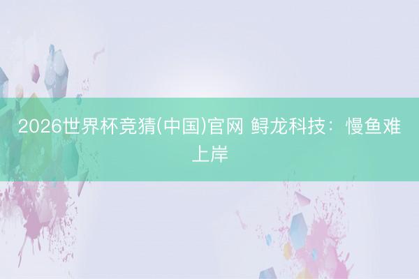 2026世界杯竞猜(中国)官网 鲟龙科技：慢鱼难上岸
