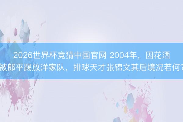 2026世界杯竞猜中国官网 2004年，因花洒被郎平踢放洋家队，排球天才张锦文其后境况若何？