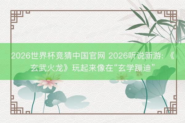 2026世界杯竞猜中国官网 2026听说新游: 《玄武火龙》玩起来像在“玄学蹦迪”