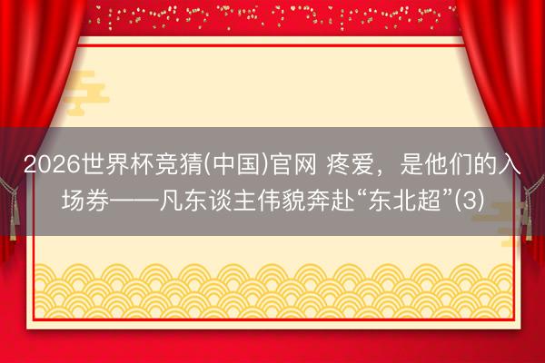 2026世界杯竞猜(中国)官网 疼爱，是他们的入场券——凡东谈主伟貌奔赴“东北超”(3)