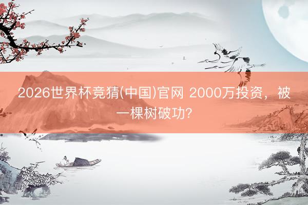 2026世界杯竞猜(中国)官网 2000万投资，被一棵树破功？