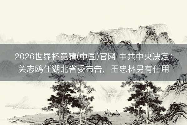 2026世界杯竞猜(中国)官网 中共中央决定：关志鸥任湖北省委布告，王忠林另有任用