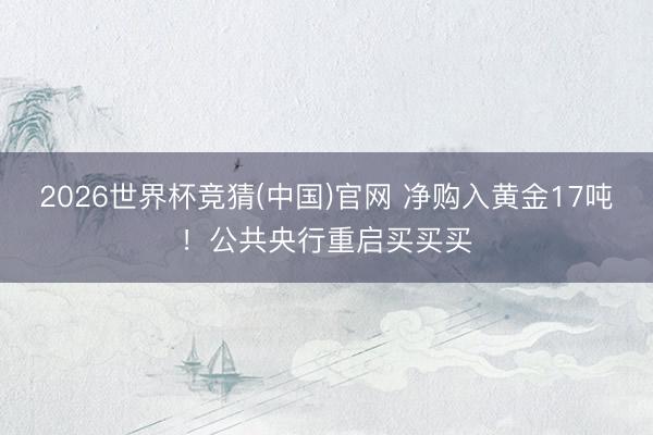 2026世界杯竞猜(中国)官网 净购入黄金17吨！公共央行重启买买买