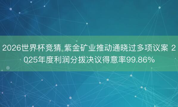 2026世界杯竞猜 紫金矿业推动通晓过多项议案 2025年度利润分拨决议得意率99.86%